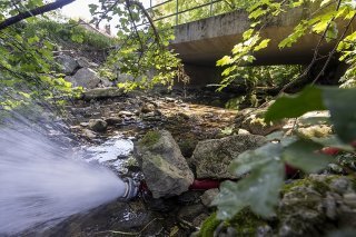 En raison de la sécheresse et pour sauver la faune aquatique, une lance à incendie alimente en eau potable la Drize, dans le canton de Genève.